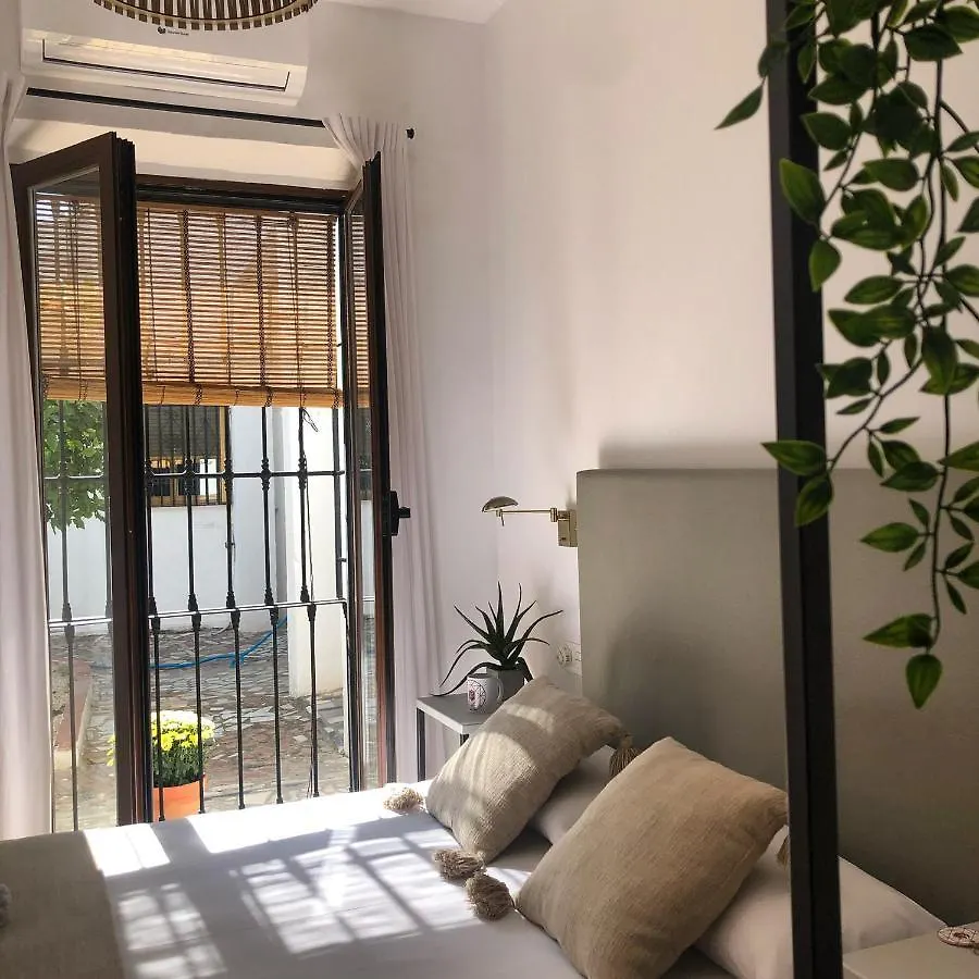 Carmen De Cortes Lorca Apartment Granada